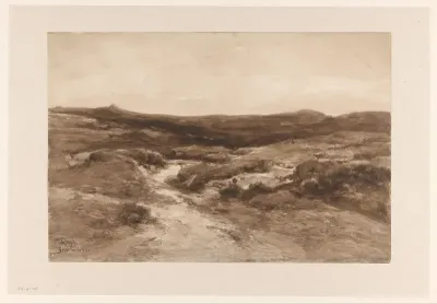 Heidelandschap