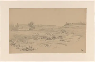 Heidelandschap