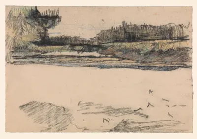 Heidelandschap