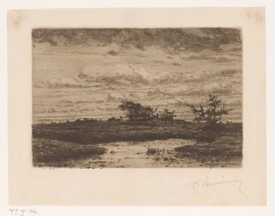 Heidelandschap bij avond