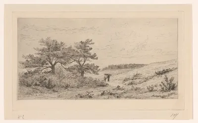 Heidelandschap bij Worth-Rheden
