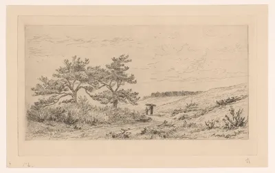 Heidelandschap bij Worth-Rheden