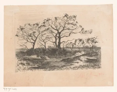 Heidelandschap met kale bomen