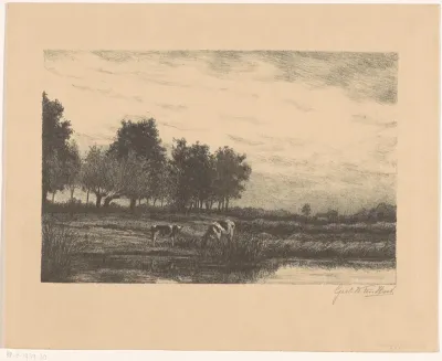 Heidelandschap met koeien