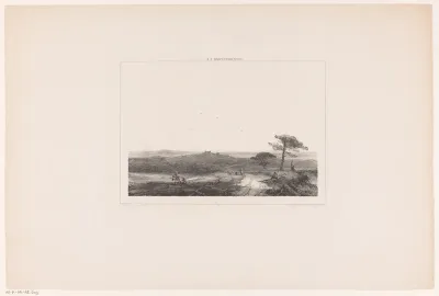 Heidelandschap met rustende wandelaar en herder met kudde