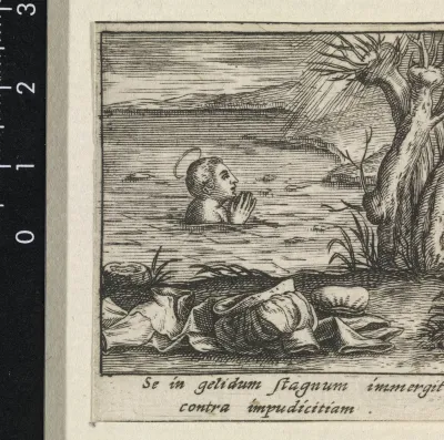 Heilige Bernardus van Clairvaux bidt in een vijver