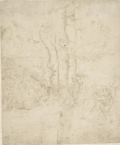 Heilige Hieronymus in een landschap