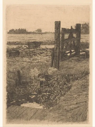 Hek bij een weiland