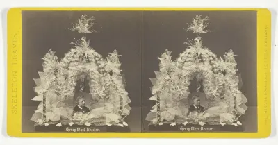 Henry Ward Beecher, from the series "Skeleton Leaves"