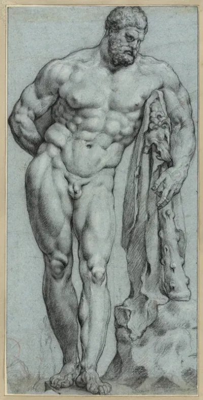 Hercules Farnese, viewed from the front