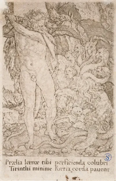Hercules fighting the Hydra, from the series: The Labours of Hercules (4)