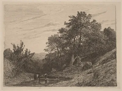 Herd in a Stream