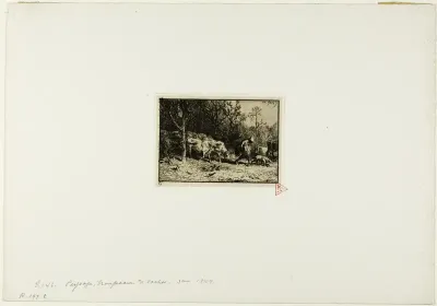 Herd of Cows Coming Out of a Wood