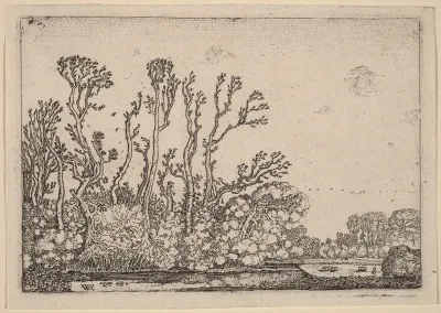 Herd of Sheep Near the Water