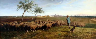 Herd of sheep on the edge of a field