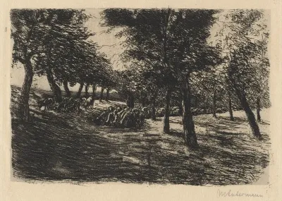 Herd of Sheep Under Trees