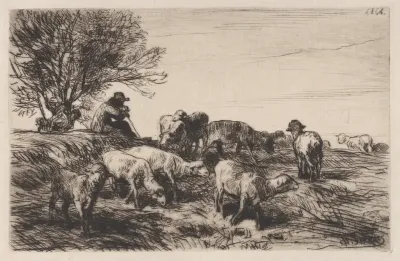 Herd of Sheep