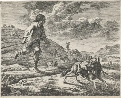 Herder achtervolgt een wolf
