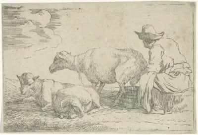 Herder die een schaap melkt
