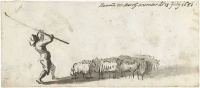 Herder drijft zijn schapen
