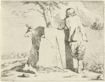 Herder en rund