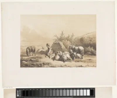 Herder en schapen