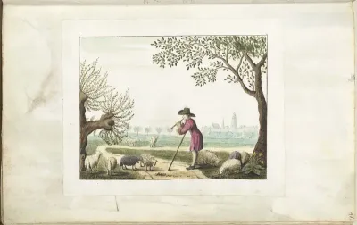 Herder fluitspelend bij zijn schapen