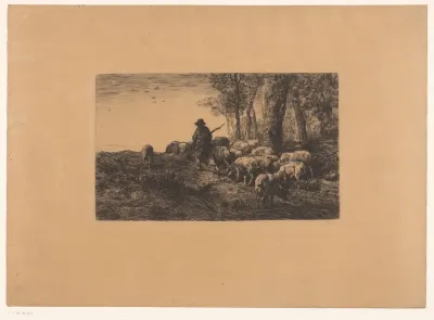 Herder met groep varkens