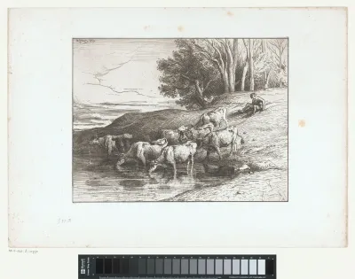 Herder met koeien bij een drinkplaats