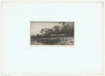 Herder met kudde koeien langs de waterkant