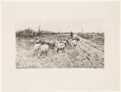 Herder met kudde schapen