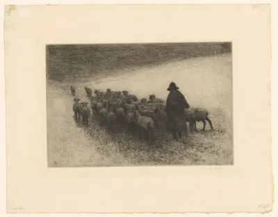 Herder met schapen