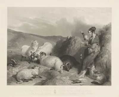 Herder met schapen en hond in een berglandschap