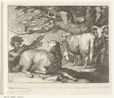 Herder met schapen