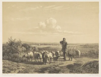 Herder met zijn schapen op de hei