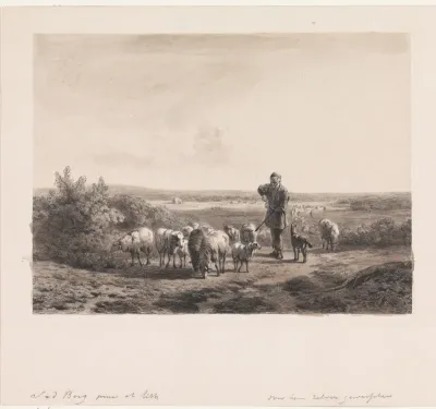 Herder met zijn schapen op de hei