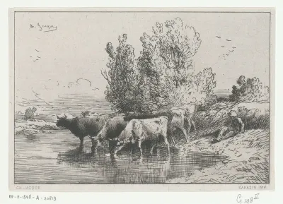 Herder naast drinkende kudde koeien