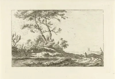 Herder op een landweg