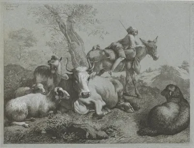 Herder op ezel bij kudde