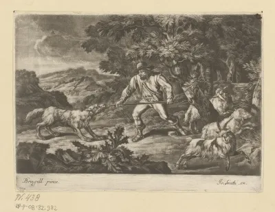 Herder verjaagt een aanvallende wolf