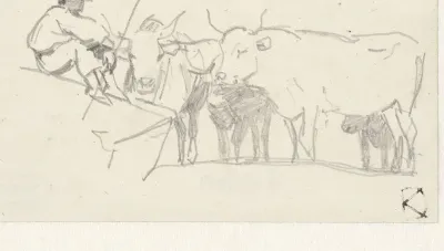 Herder zittend op een rots nabij enkele ossen