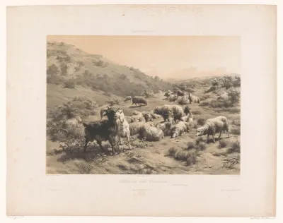 Herderin met geiten en schapen in de Pyreneën