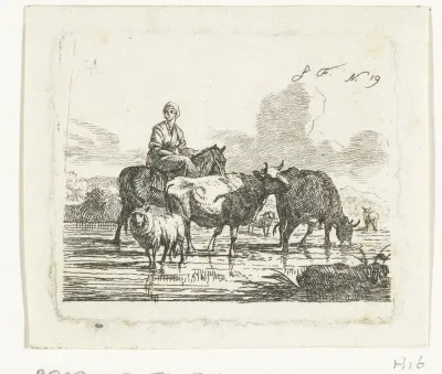 Herderin te paard in ondiep water