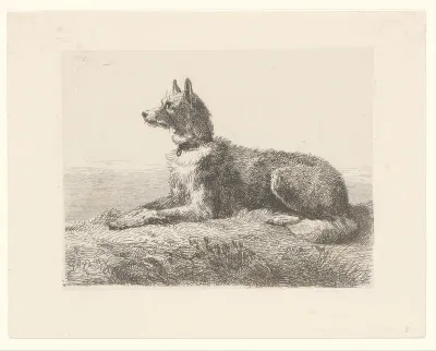 Herdershond