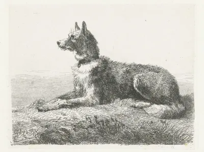 Herdershond