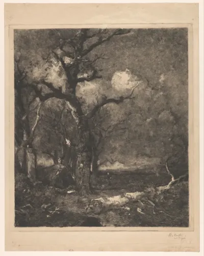 Herfstlandschap met boom