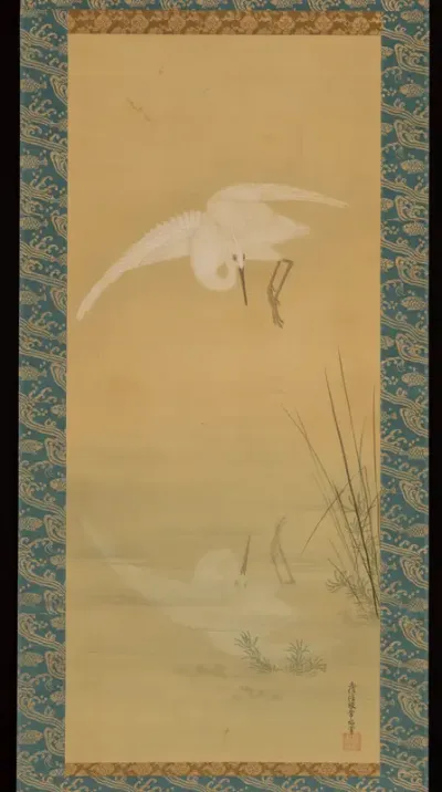 Heron