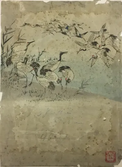 Herons Among Grasses