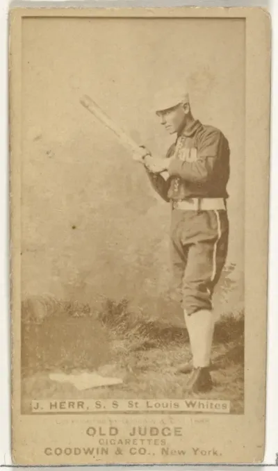Herr, Shortstop, St. Louis Whites, from the Old Judge series (N172) for Old Judge Cigarettes