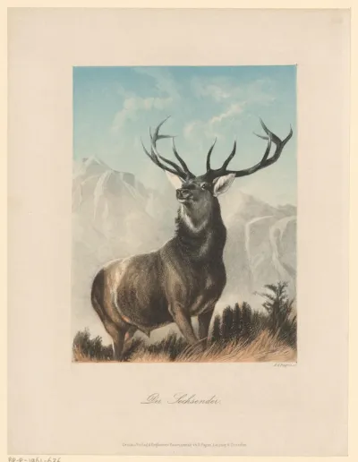 Hert in de bergen